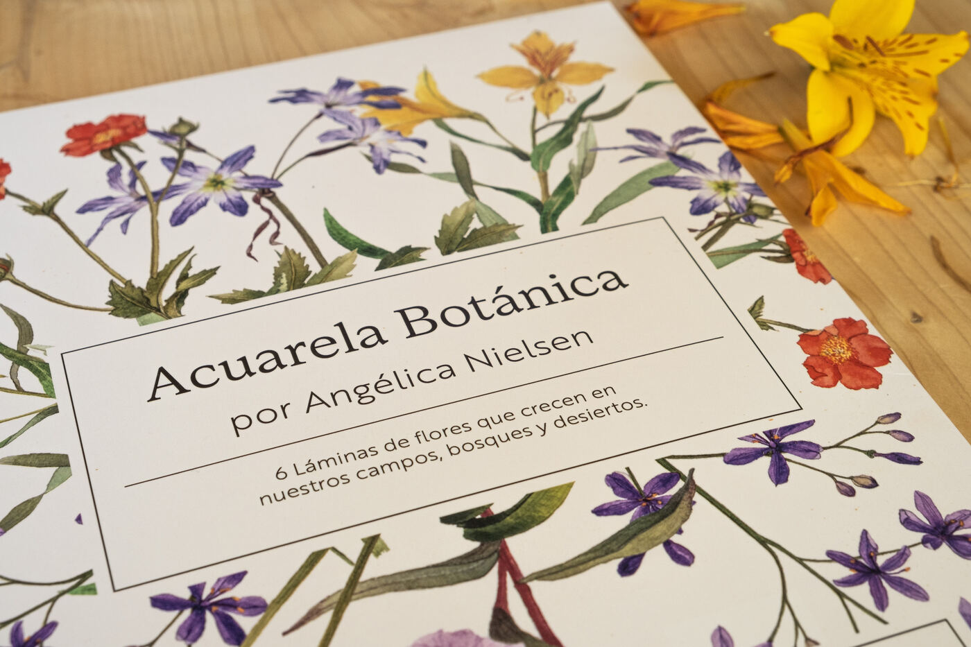 Láminas Acuarela Botánica