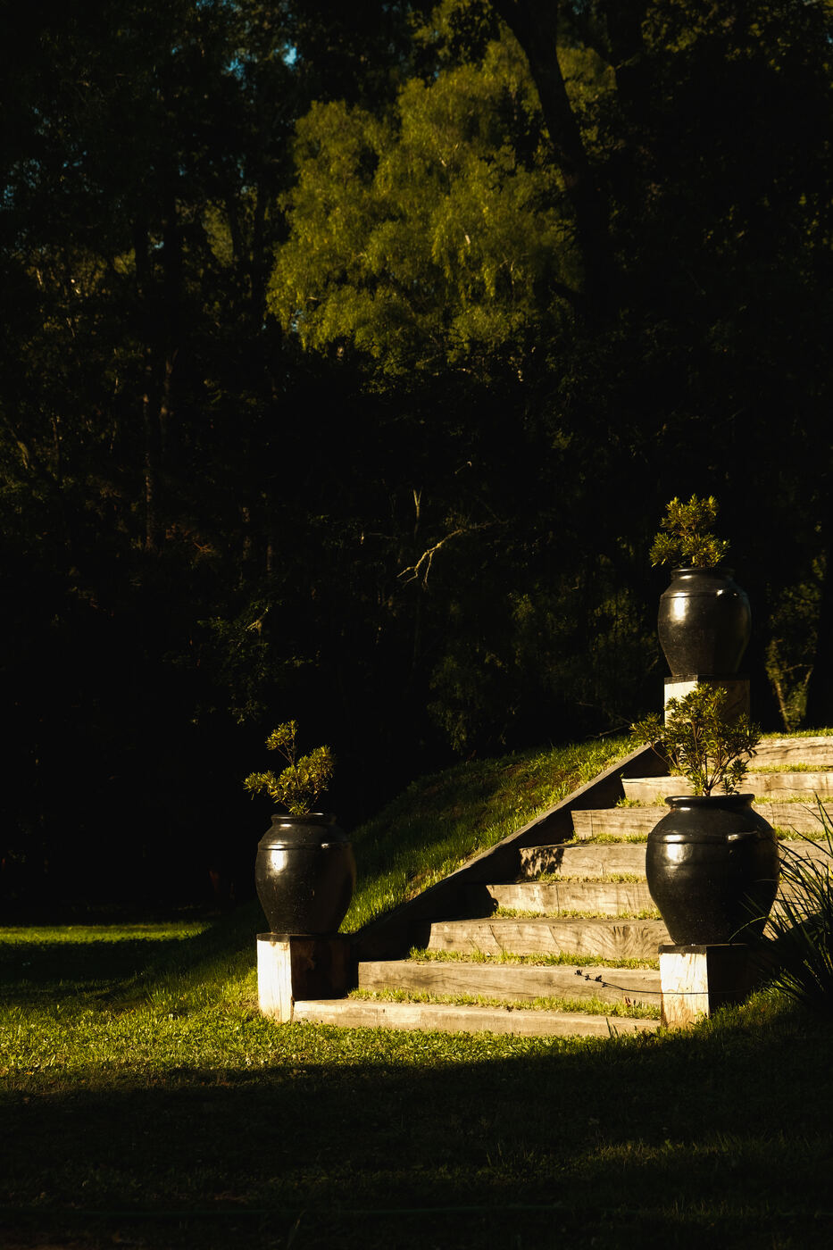 Escaleras, Río Bueno