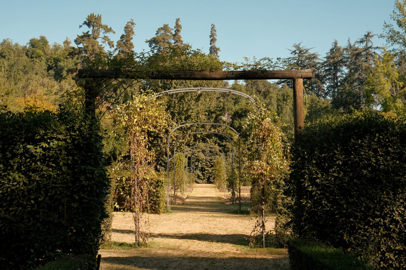 Jardín, Pirque