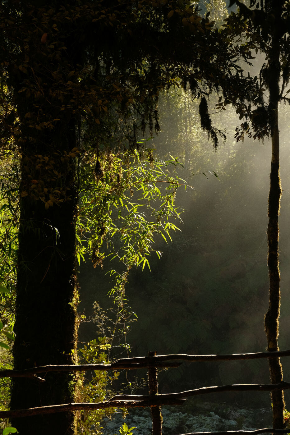 Luz, Parque Futangue