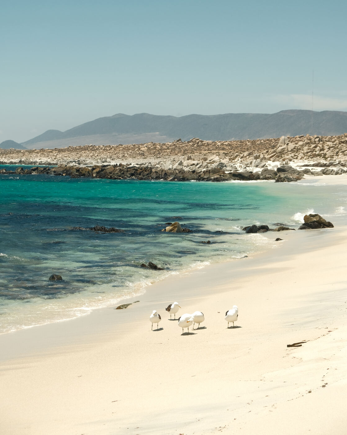 Playa la Gaviota