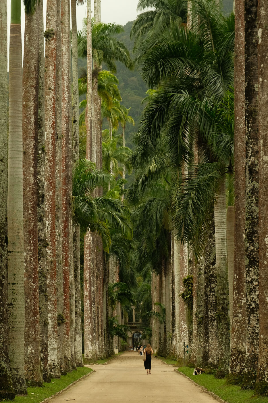 Río De Janeiro