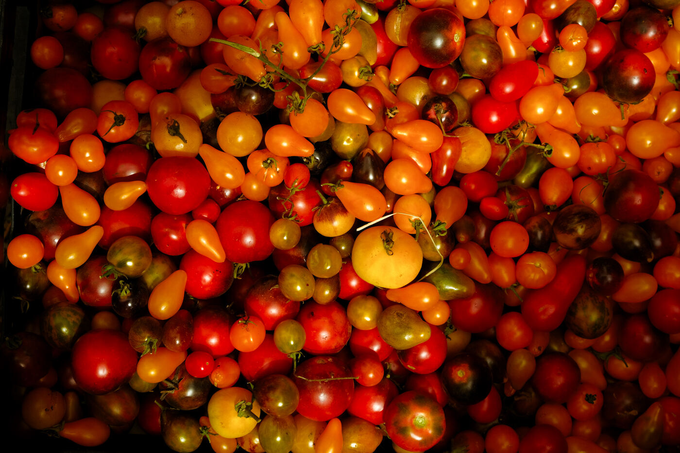 Frutas y verduras