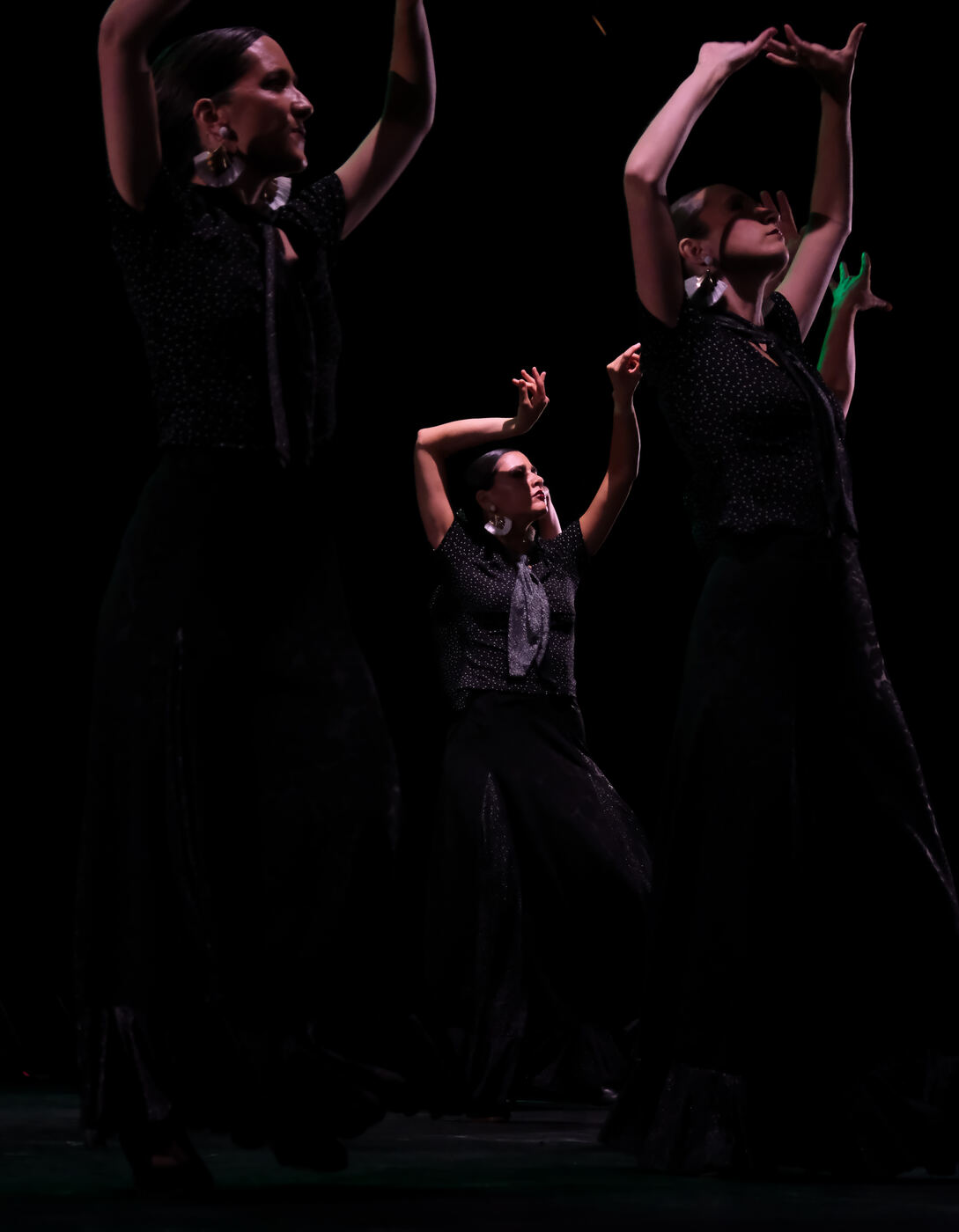 Baile Flamenco