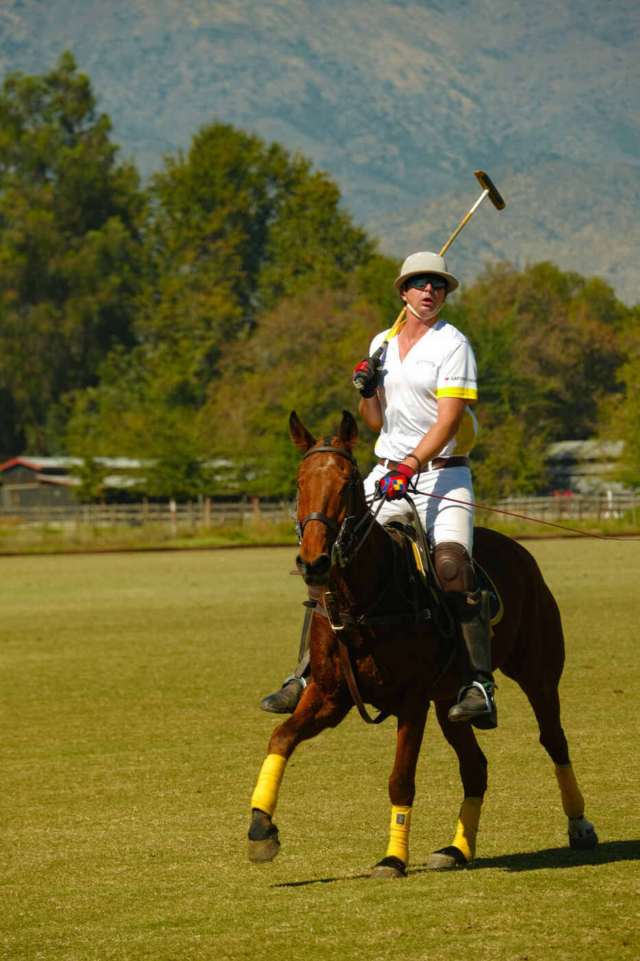 Final de Polo 2026