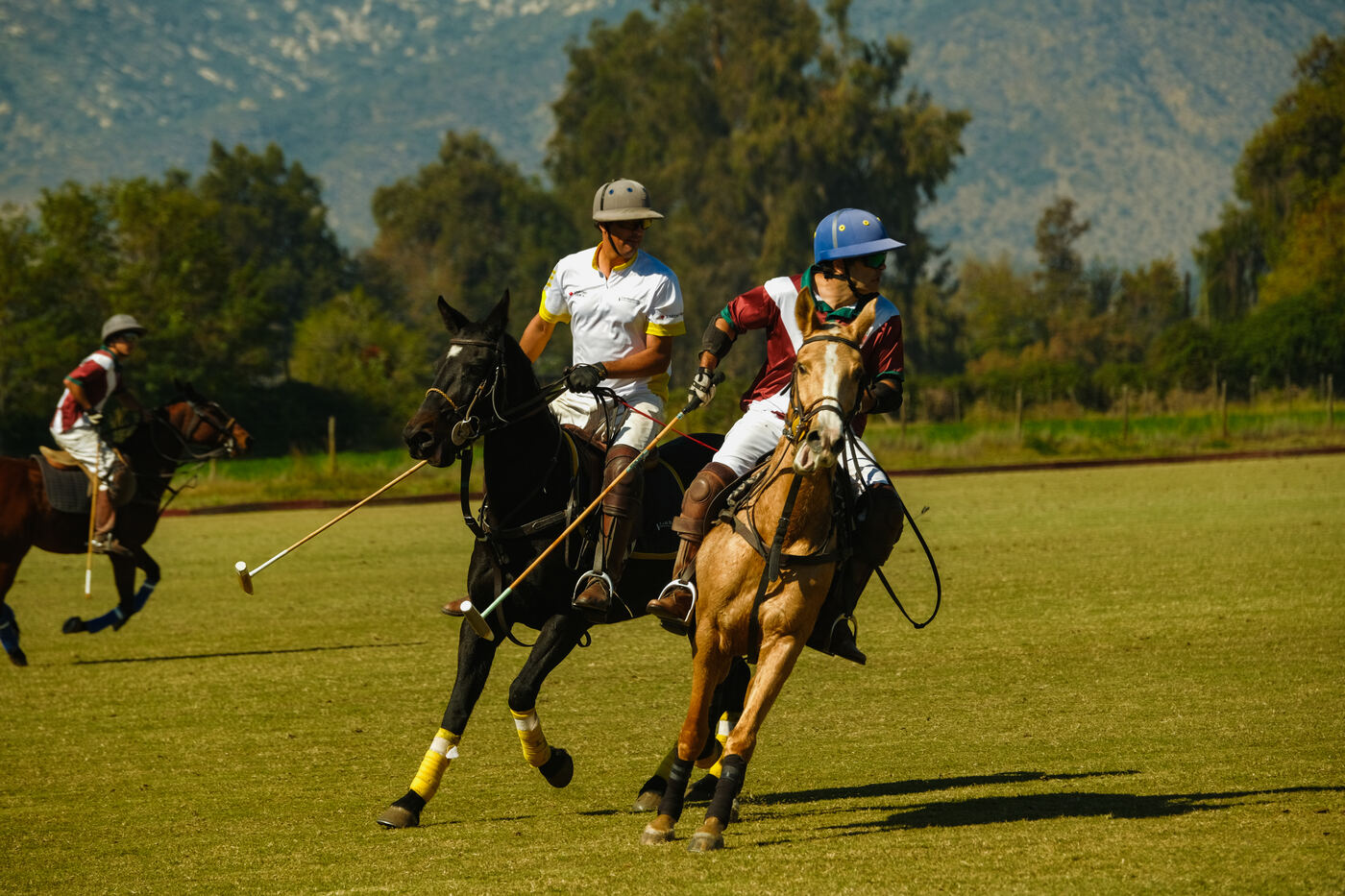 Final de Polo 2026