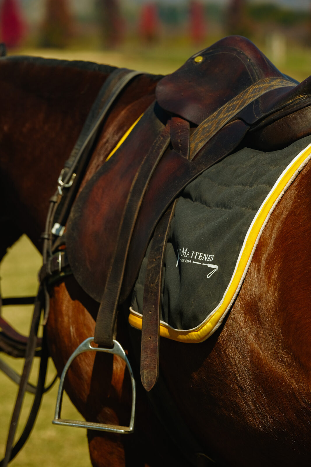 Logo Polo los Maitenes