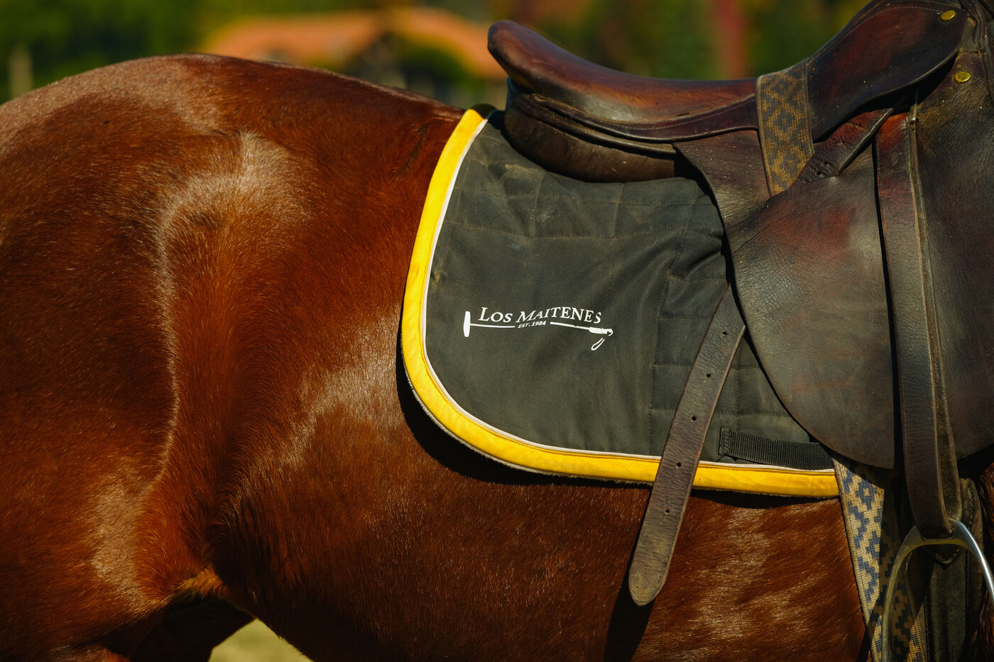 Logo Polo los Maitenes
